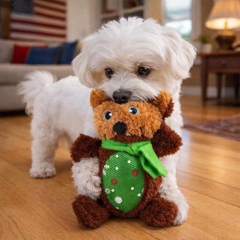 Bear Toy Calms Anxious Dogs, Soft Squeaker