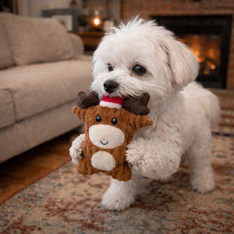 Fawn Plush Squeaky Dog Toy