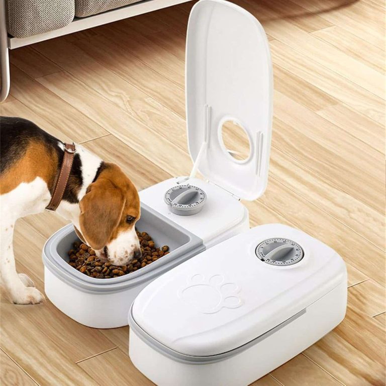Automatic Gravity Pet Feeder, 48 Hour Timer 2-in-1