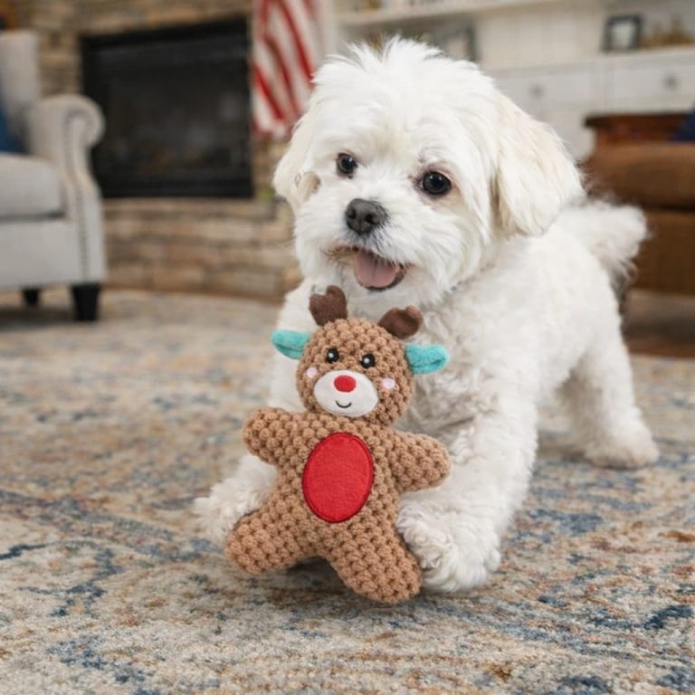 Textured Reindeer Squeaky Dog Toy