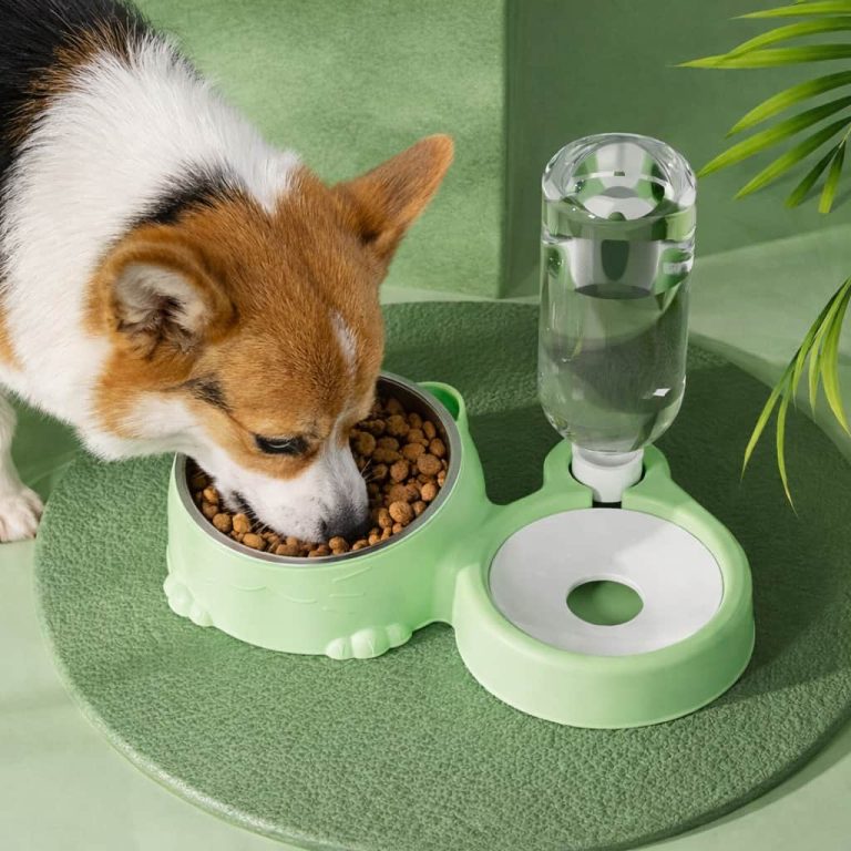 Raised Cat Bowls, 15° Tilt & Water Dispenser
