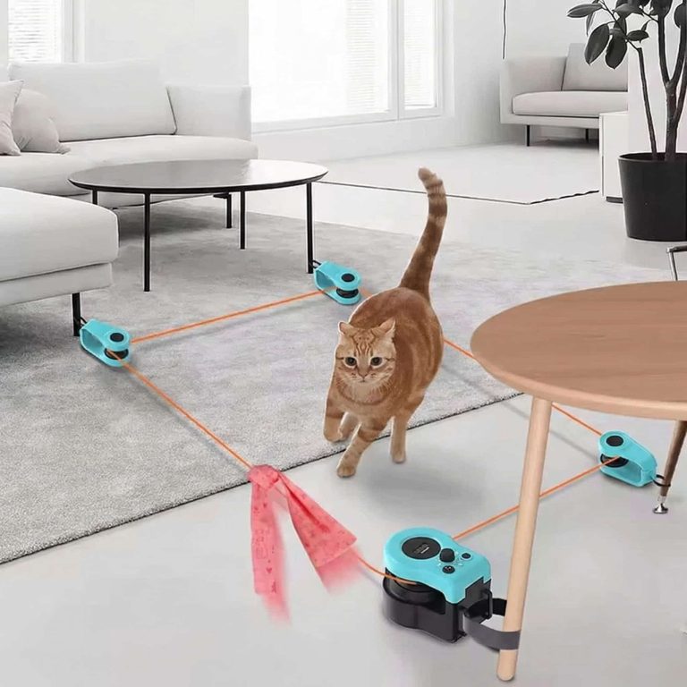 Interactive Cat Treadmill with Mouse Hunting Toy
