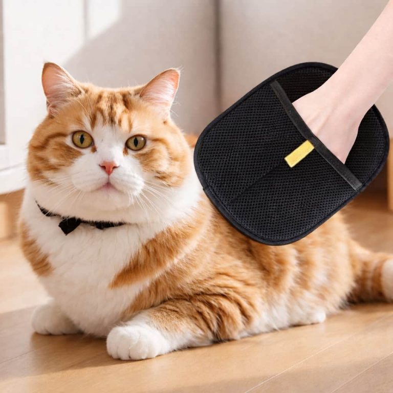 2-Pack Pet Hair Gloves, Grooming & Furniture