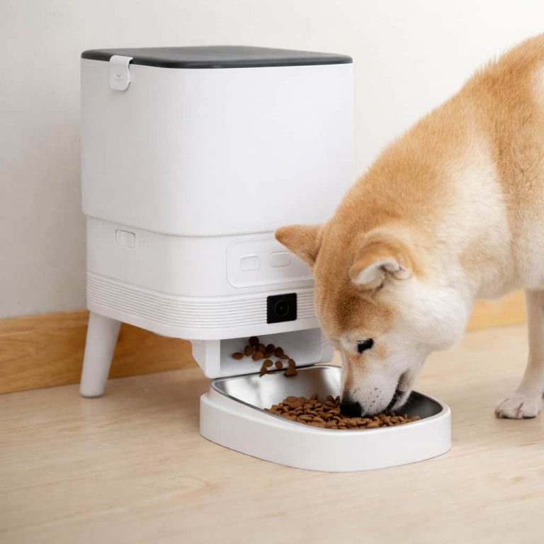 Smart Pet Feeder with Remote Meal Triggering