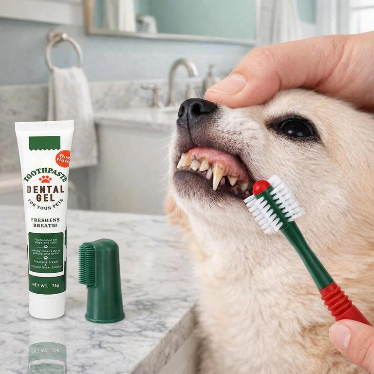 Dog Cat Dental Kit, Beef Toothpaste & 3 Brushes