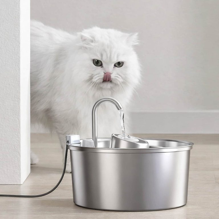 Stainless Steel Half Slope Cat Fountain