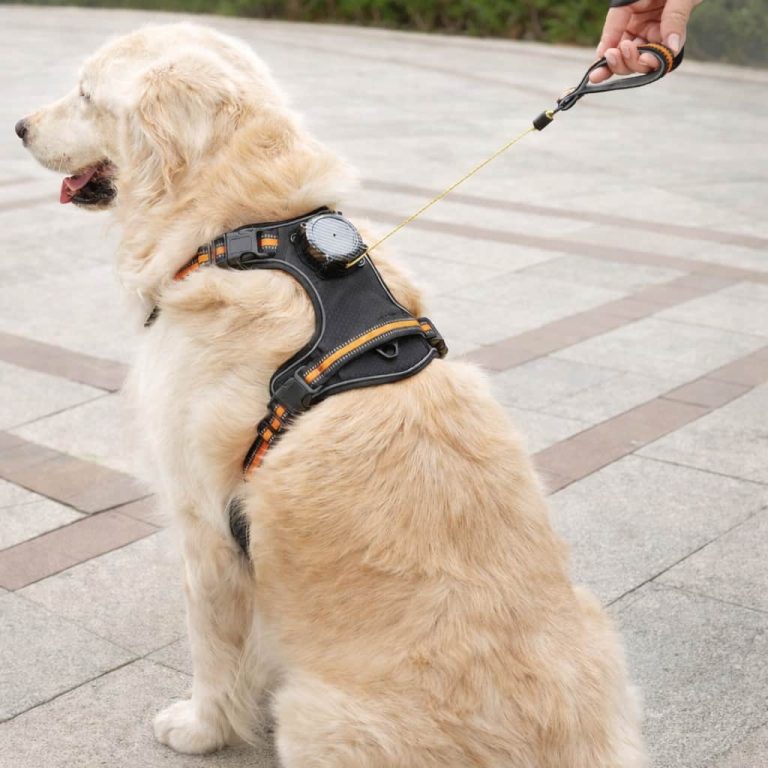 No Pull Dog Harness, Integrated Retractable Leash, Handle, 396 lb Resistance