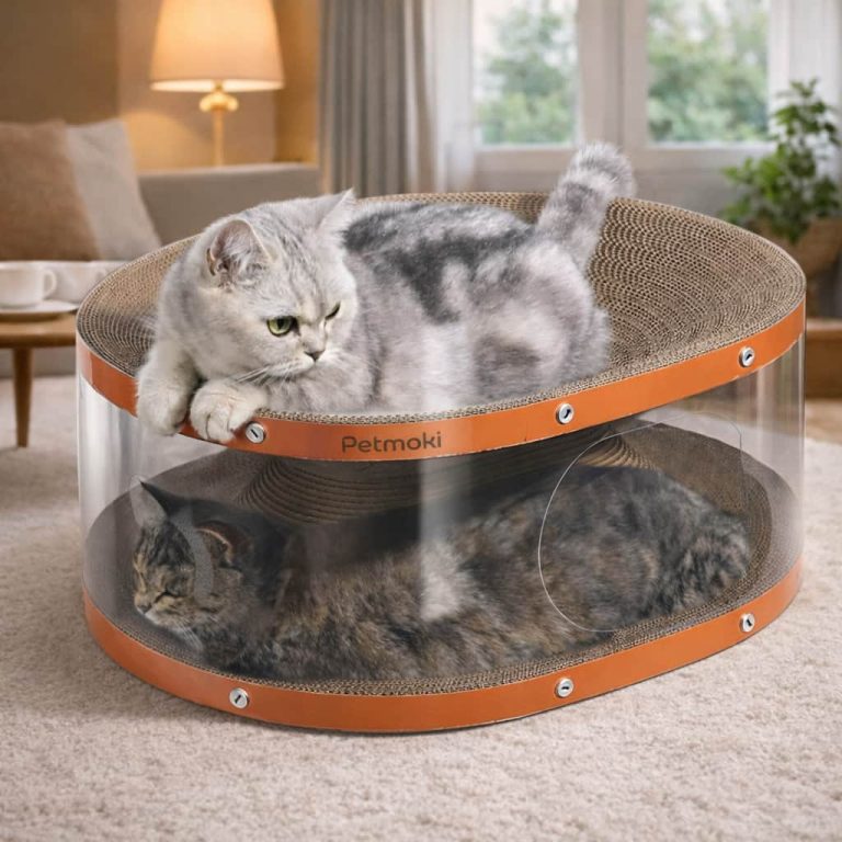 Two Tier Cat Scratcher, Transparent PVC Shell