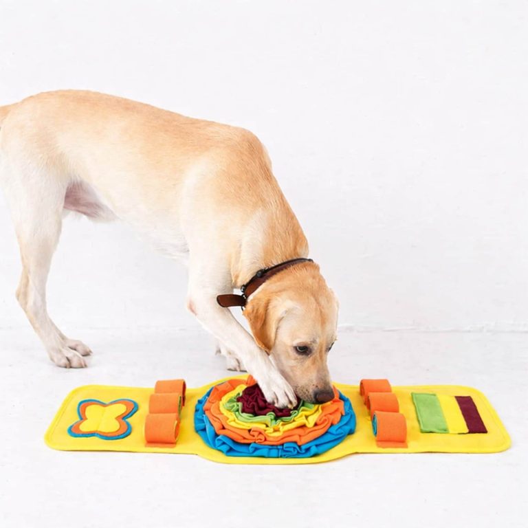 Interactive Sniff Mat, Slow Feeding, Bite-Resistant
