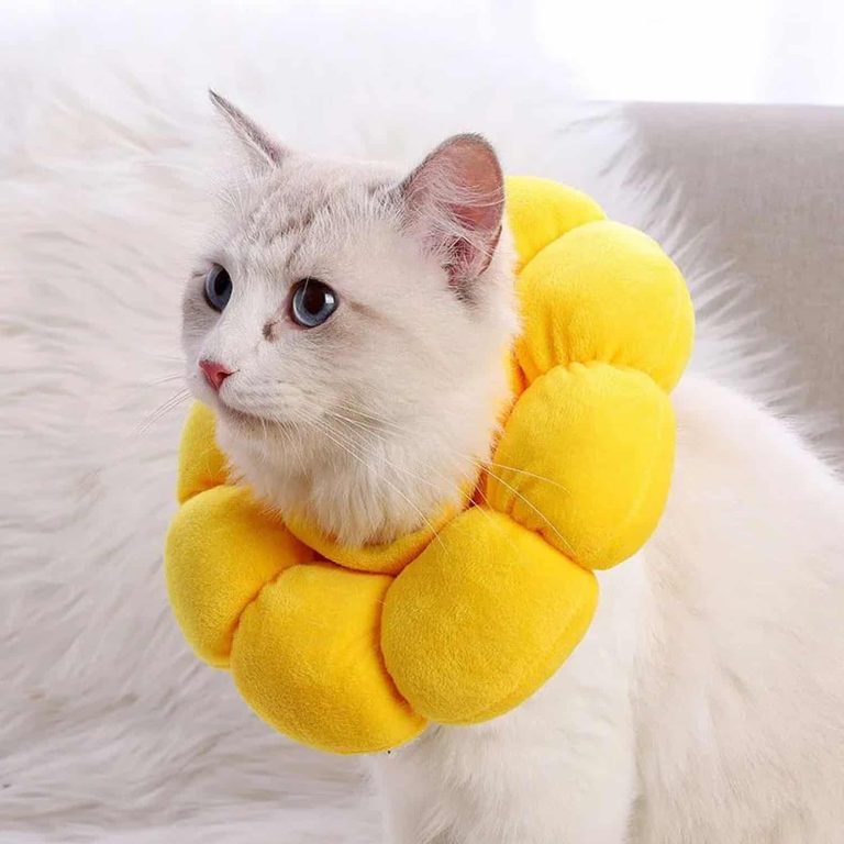 Plush Sunflower Recovery Collar That Clips to Any Collar