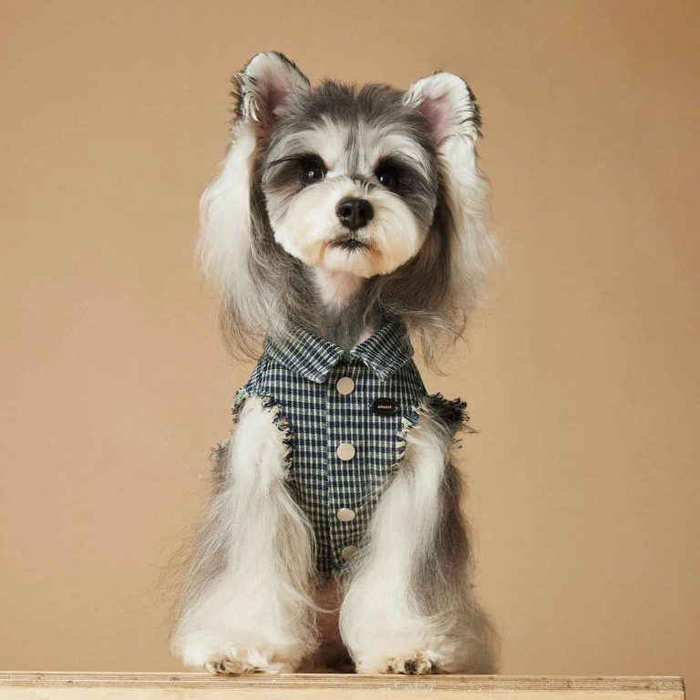 Dog Vest, Plaid, Distressed Edges, Patch Detail