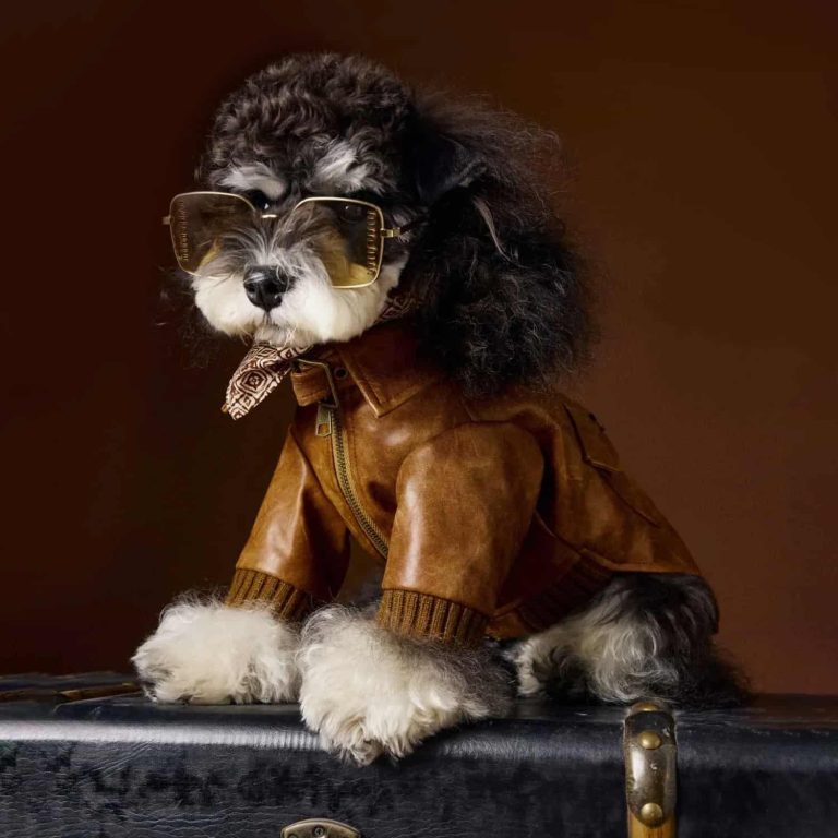 Retro Leather Jacket, Ribbed Cuffs and Hem