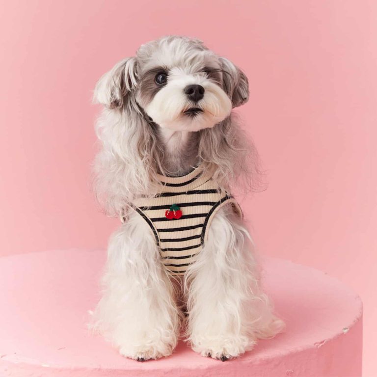 Dog Vest, Striped, Cherry Embroidery, Ribbed Knit