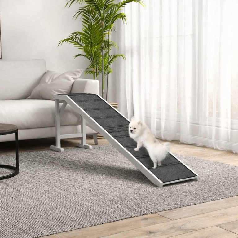 74-Inch Ramp That Helps Dogs Reach High Beds Safely