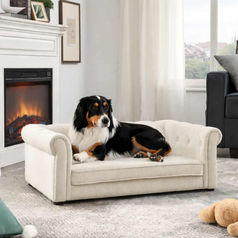Full-Size Sofa for Dogs with Tufted Back and Rolled Arms