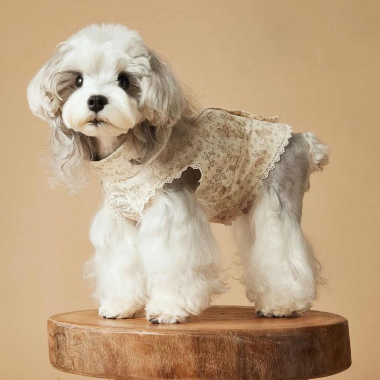 Pet Dress, Vintage Style, Wooden Buttons