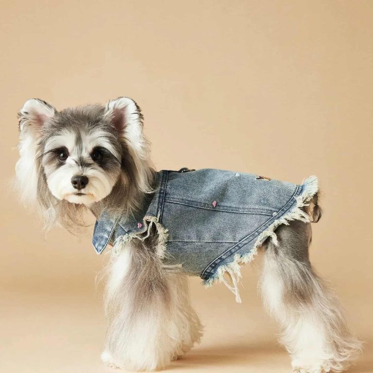Embroidered Denim Vest, Raw Frayed Edges