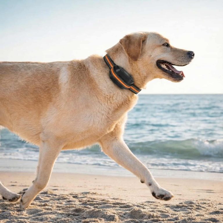 GPS Dog Fence with iPhone Tracking