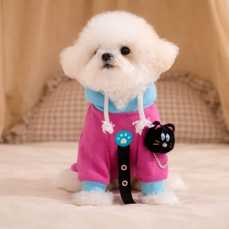 Color-Blocked Hoodie with Attached Plush Toy