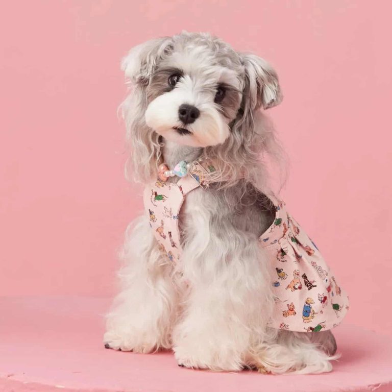Vintage-Style Dress with Cartoon Pet Print and Built-In Harness