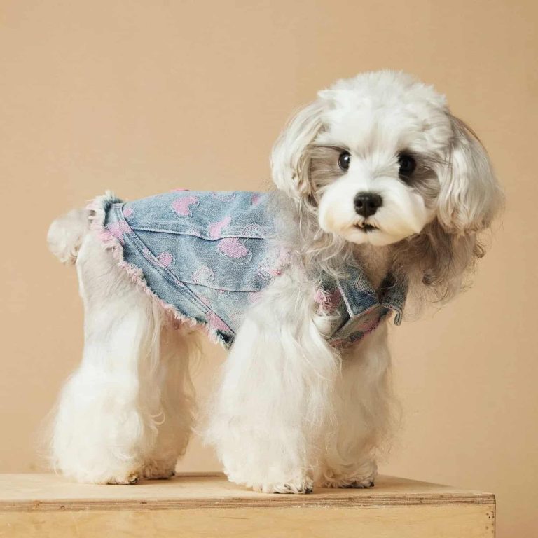 Distressed Denim Vest with Heart Embroidery