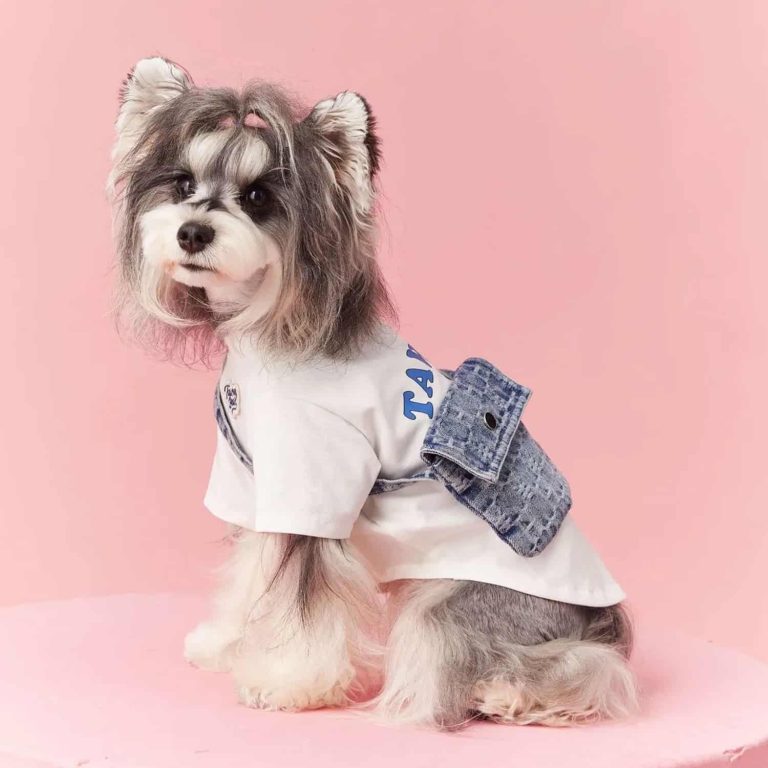 Surf Bear Tee with Removable Backpack