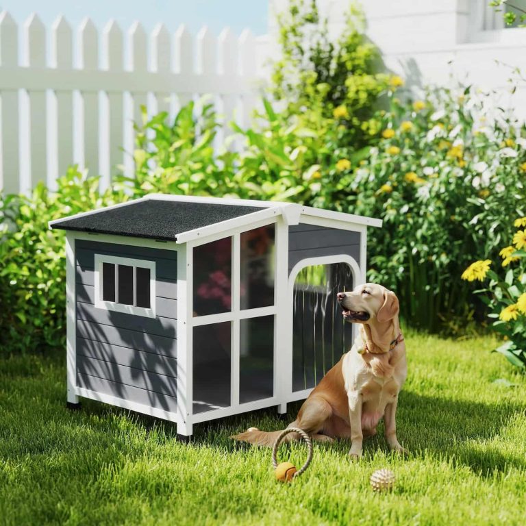 Dog House, Giant Window, Openable Roof, 66 lbs