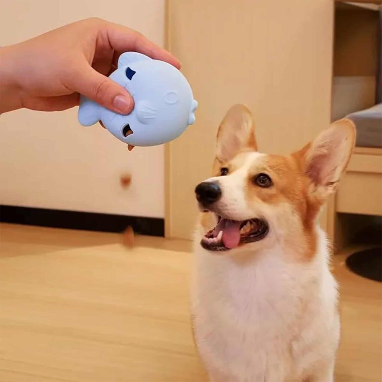 Silicone Fish Treat Dispenser for Dogs