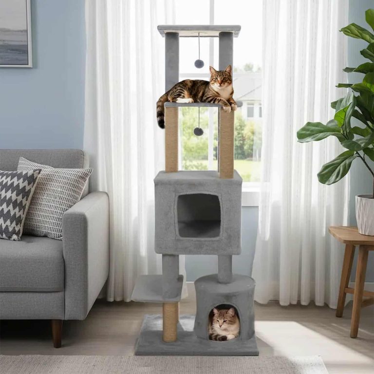 Cat Tower with 2 Condos, 5 Levels