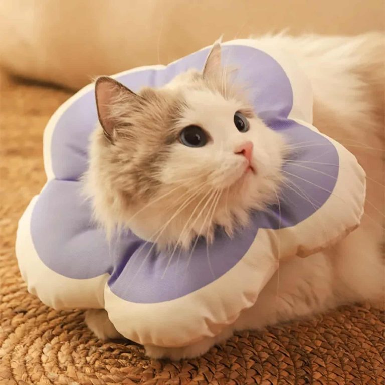 Cat Recovery Collar Shaped Like a Flower, Cotton Fill, Anti-Bite, Adjustable