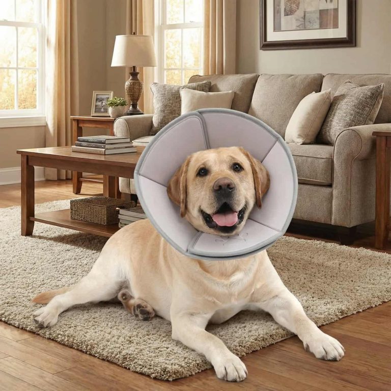 Recovery Cone With Built-In Neck Massage Dots