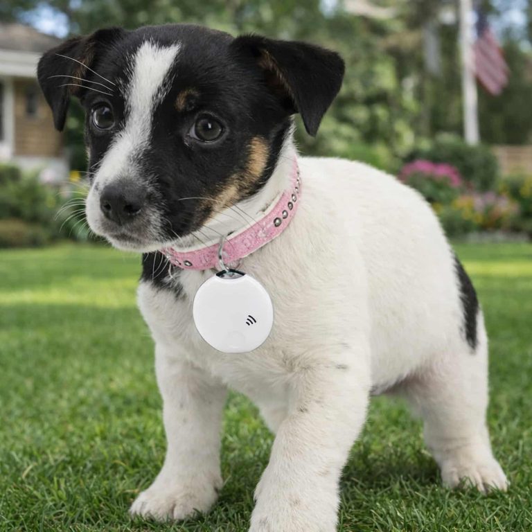 Bluetooth Pet Tracker with 85dB Alert