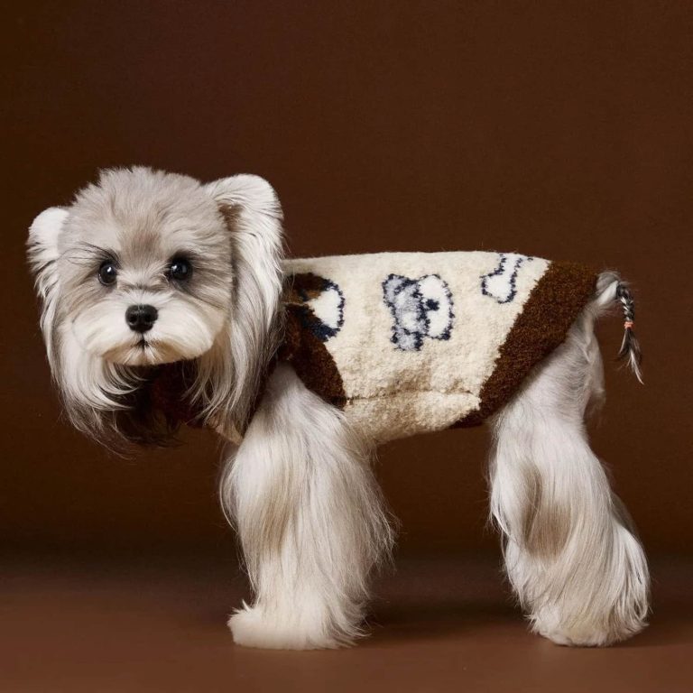 Teddy Bear Sweater, Sherpa, Two-Tone Brown
