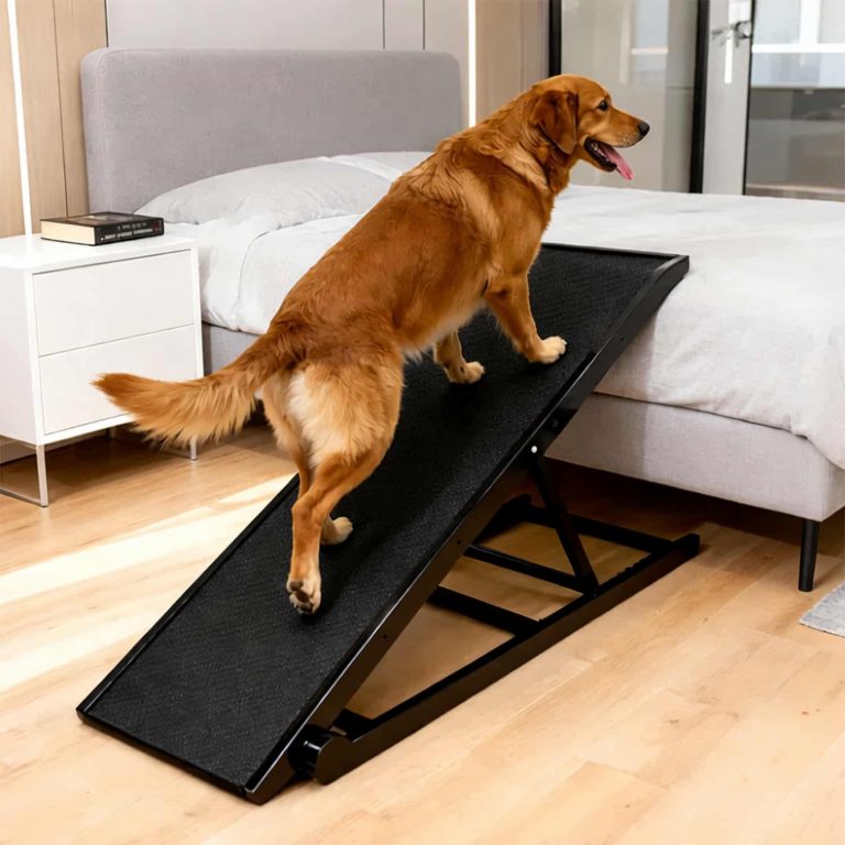 Folding Dog Ramp with 6 Height Settings