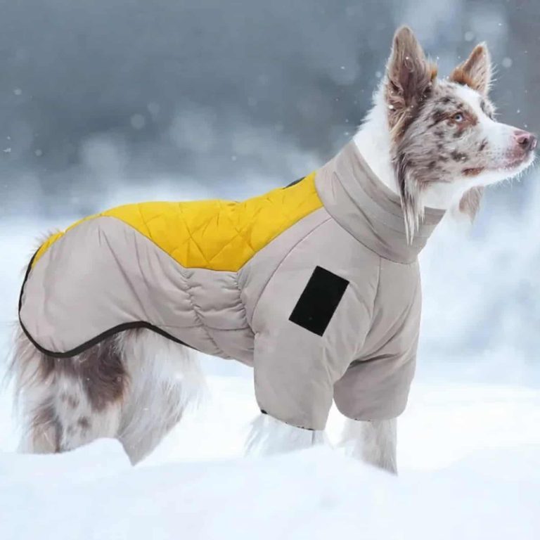 Large Dog Winter Jacket, Reflective Collar Strip, Double D-Ring, High Collar, Windproof