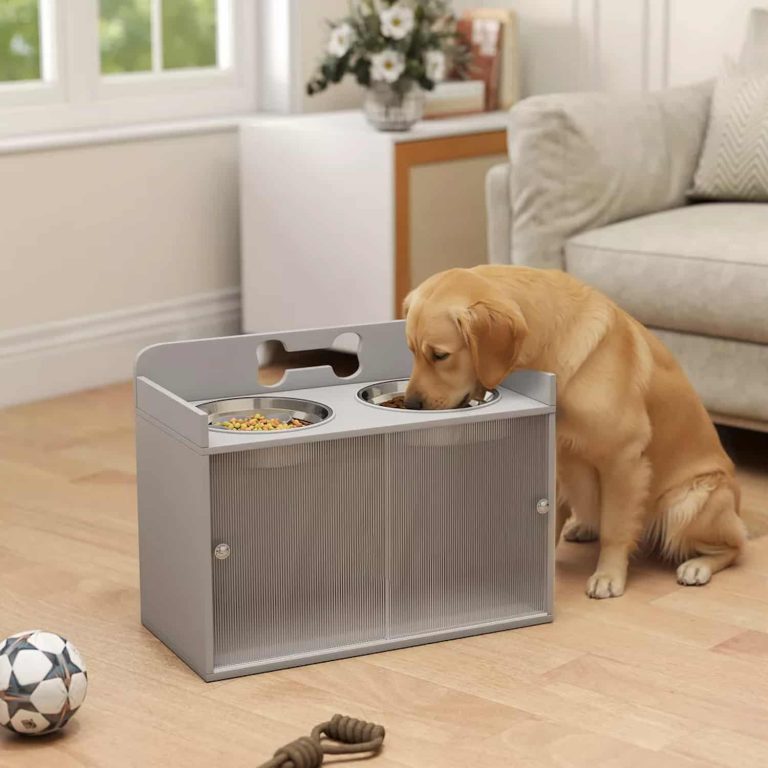 Raised Dog Bowls with Storage Cabinet