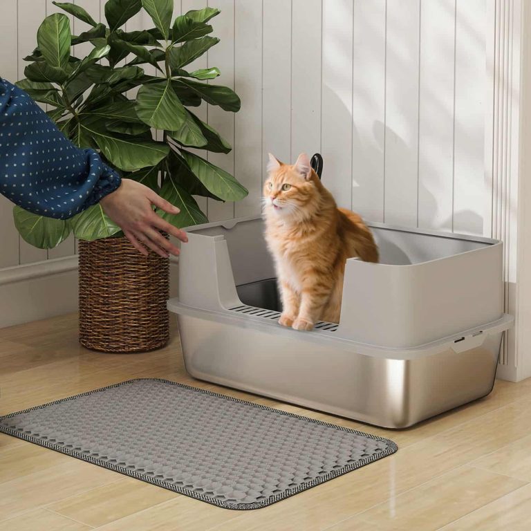 Cat Litter Box, Stainless Steel, High-Sided