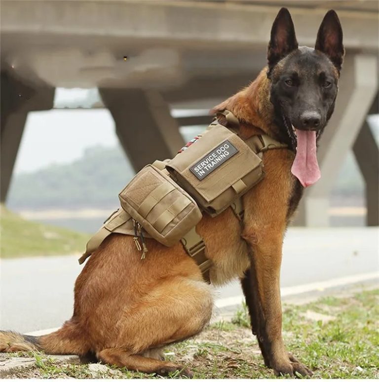 Tactical K9 Vest with Detachable Pouches and Built-In Bottle Holder