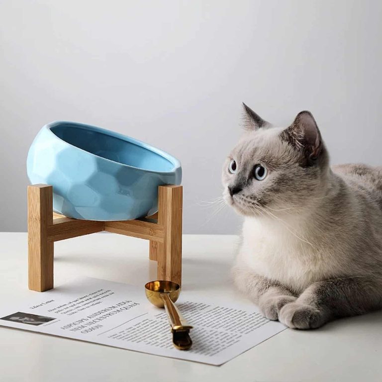 Tilted Cat Bowl on Wooden Stand, 15° Angle
