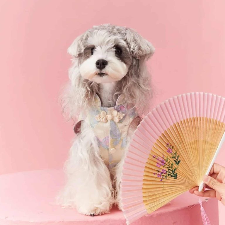 Butterfly Cheongsam Vest for Small Dogs