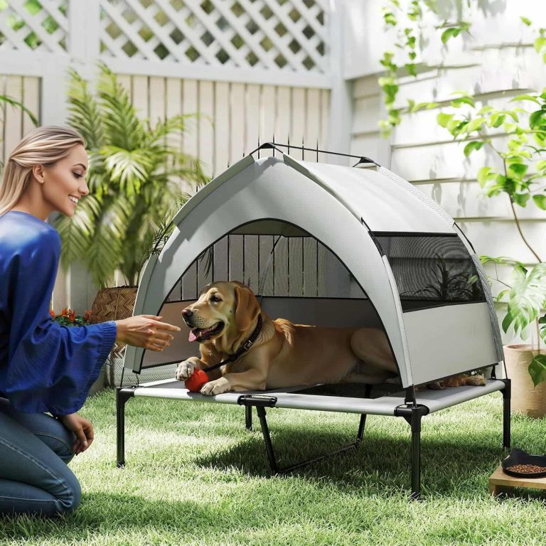 Raised Dog Bed with Removable Sun Canopy