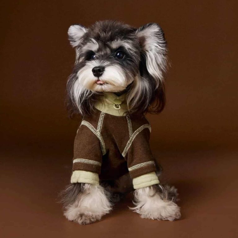 Four-Leg Dog Jumpsuit, Rose and Mocha Tones