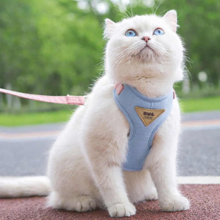 Escape-Proof Harness with Contoured Fit