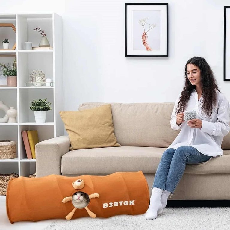 Cat Tunnel with a Bear Peephole That Doubles as a Hideaway