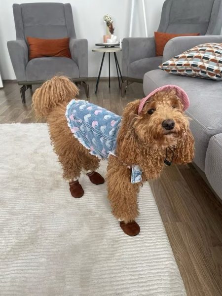 Review image for 3623