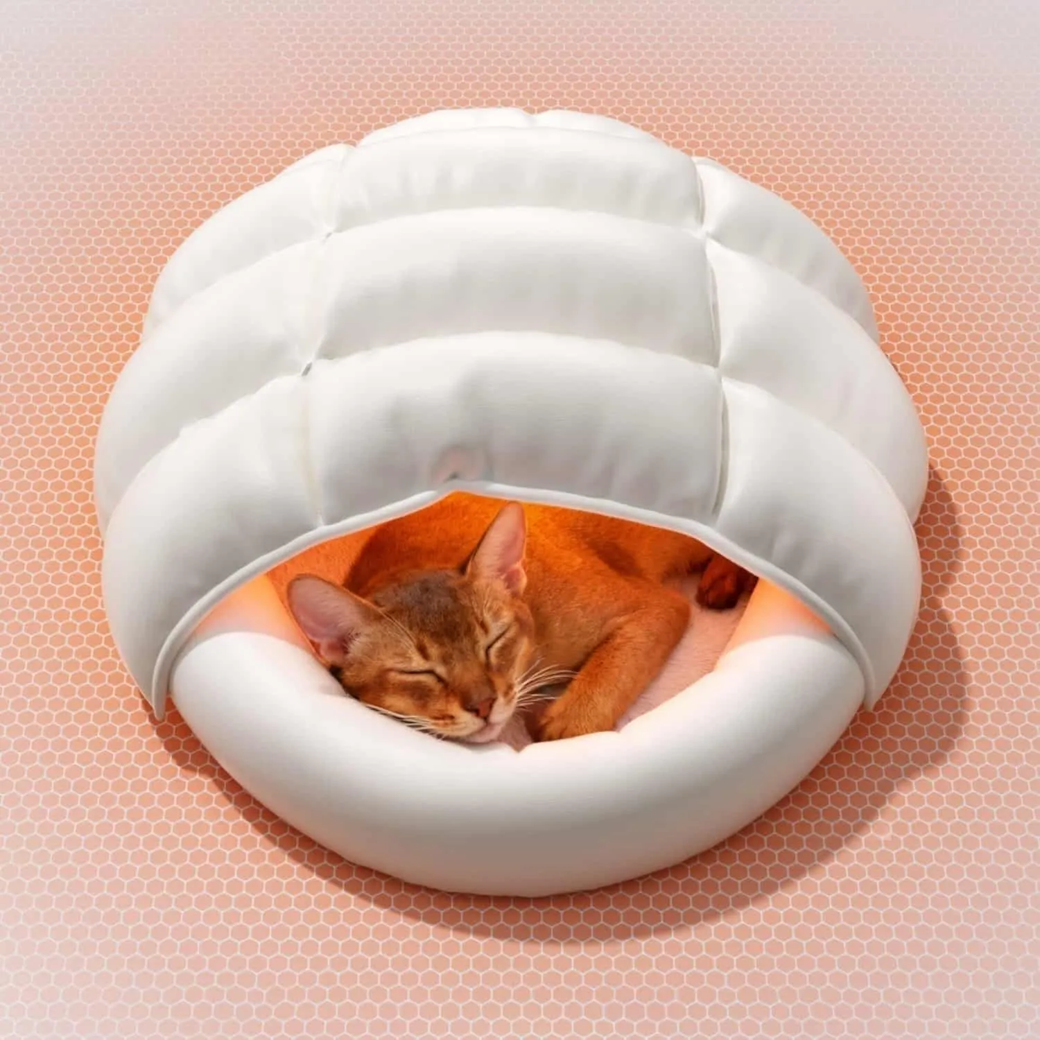 White duck down cat sleeping bag with compartmentalized baffled fill chambers, windproof wipe-clean stain-resistant outer shell, plush interior lining, anti-slip particle base, full body wrap entry opening, for indoor cats