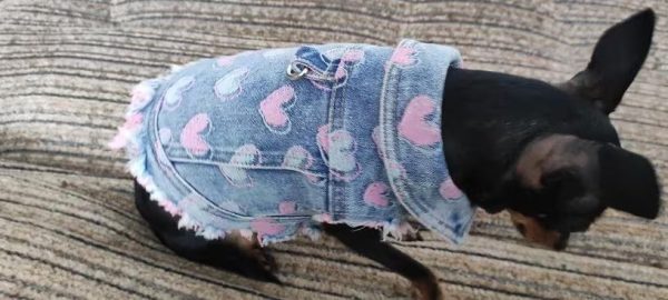 Review image for 3623