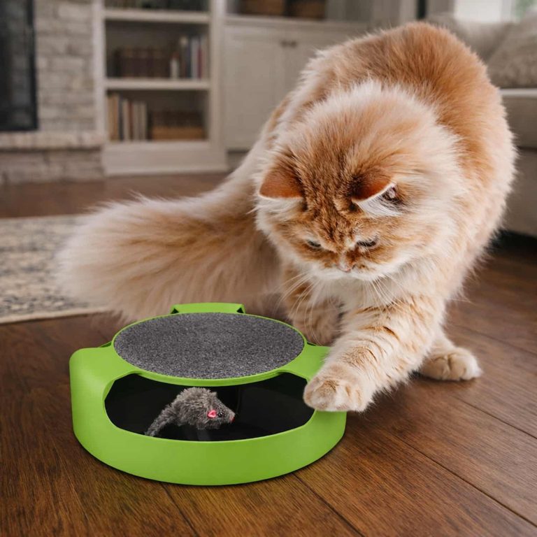 2-in-1 Spinning Mouse Cat Toy with Felt Scratch Pad, Paw-Activated 360 Spin