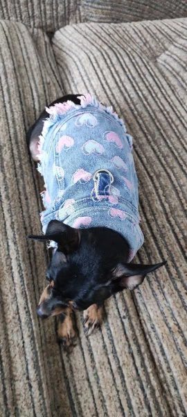 Review image for 3623