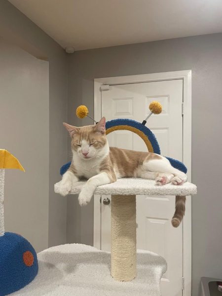 Review image for 4677